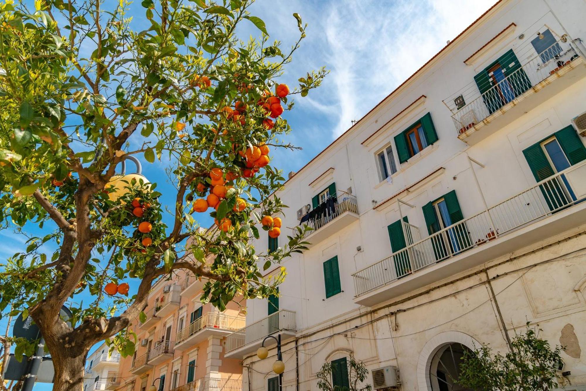 Villa Mapa - Appartamenti Vicino Al Mare ヴィエステ エクステリア 写真